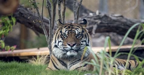Wildlife world zoo - Join Molly & The Legend as they show you around the wildlife world zoo, aquarium and safari park located outside of phoenix in lichtfield park arizona. This...